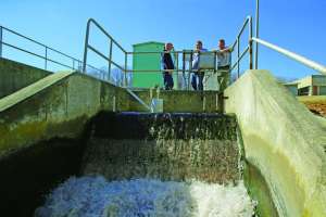 Tpo Asheboro Drago 0021