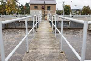 Tpomag Pedrogrondin Newportvtww 092921 6244