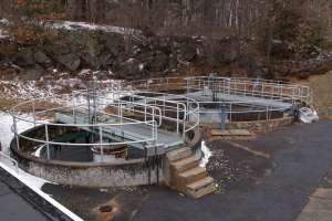 Tpomag seangreig newmarketnh 032624 23