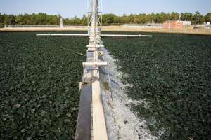Old Equipment at Cape Fear Plant Proves Age is No Barrier