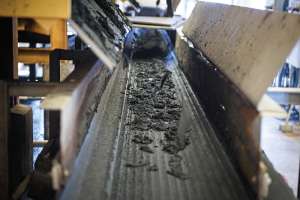 Tpomkeanplantandrewcraft56