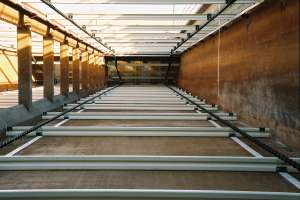 Webinar Rectangular Clarifier System