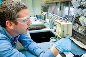 Western Filter 1134211