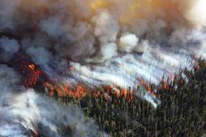 Wildfire report