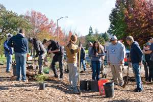 Windsor Robbinsparknov9 12 5