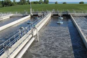Xylem case study